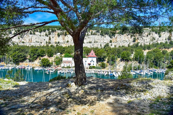 Calanque Port Miou near Cassis on the Cote d'Azur in Provence