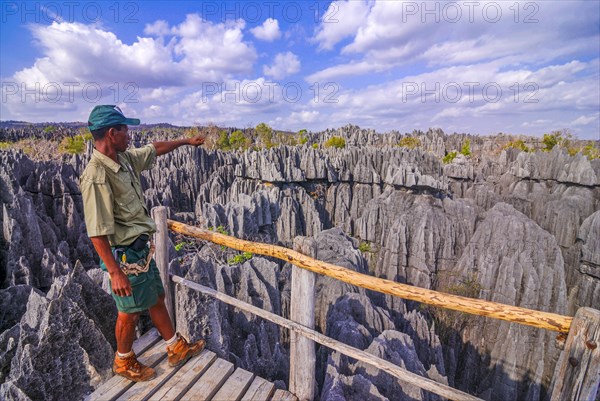 Man overlooking the Tsingys