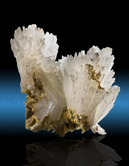 Aragonite Johnby Quarry