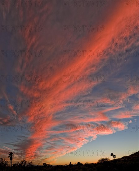 Colorful Sunset