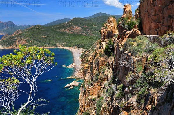 The coastal road through the Calanche de Piana overlooking the beach of Bussaglia