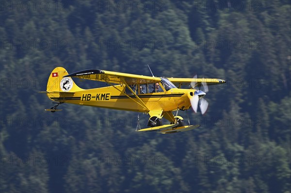 Vintage aircraft Aviat A-1 Husky in flight