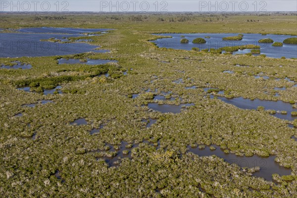 Everglades National Park is a national park in the U.S. state of Florida. The largest subtropical wilderness in the United States