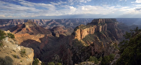 Cape Royal Panorama