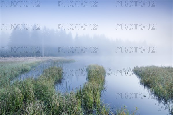 Atmospheric dawn with wafts of mist over the mirror-smooth moorland lake Etang de la Gruere in the canton of Jura