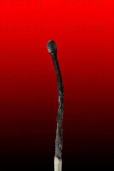 Burned Wooden Match