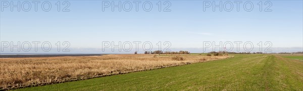 Marsh landscape on the dyke near the mouth of the Ems