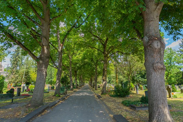 Prague cemetery