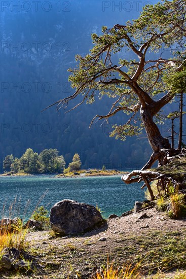 Island in the Eibsee lake near Grainau