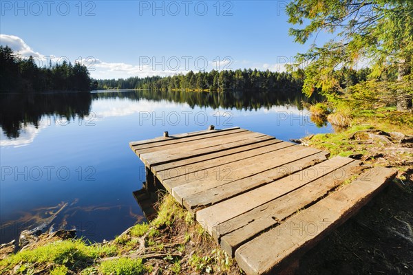 Bathing jetty on the lakeshore of the Etang de la Gruere mire lake in the canton of Jura