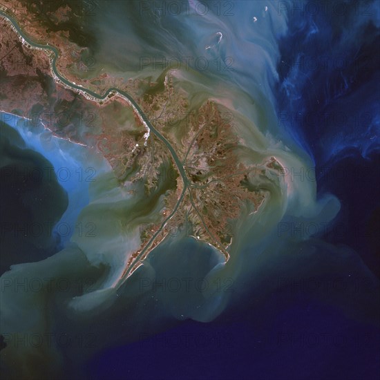 Phytoplankton Bloom