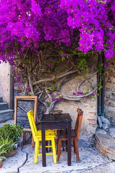 Street cafe in Via Cavour