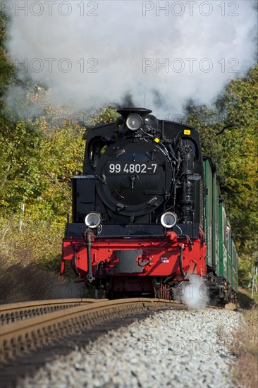 The steam train Rasender Roland