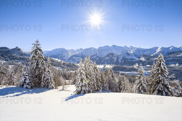 Central Swiss Alps