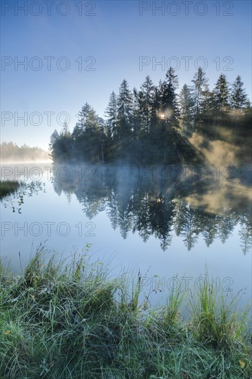 Rays of sunshine make their way through forest and fog at the mirror-smooth moorland lake Etang de la Gruere in the canton of Jura