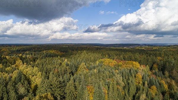 Aerial view of the autumn-coloured nature park Westliche Waelder near Augsburg