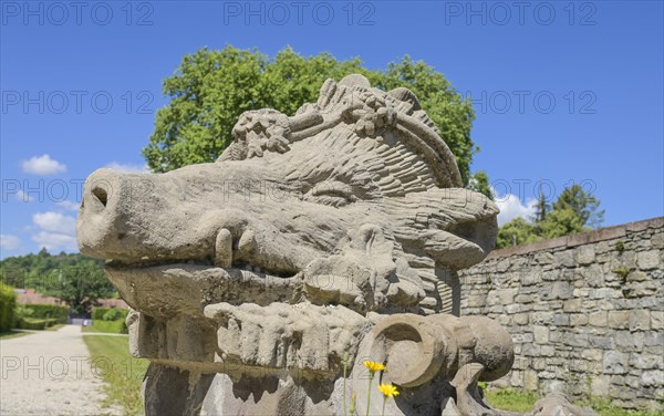 Wild boar's head on the south steps