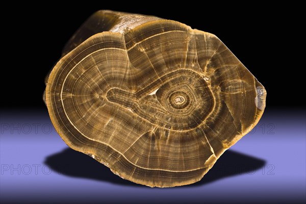 Barite Stalactite Cross-Section from Frizington