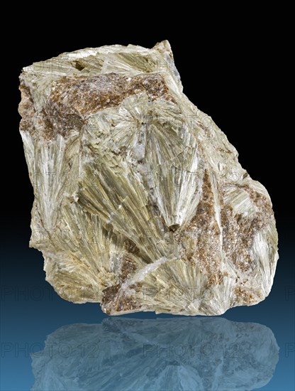 Actinolite with Phlogopite Mica