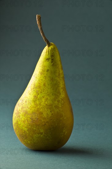 Pear Conference