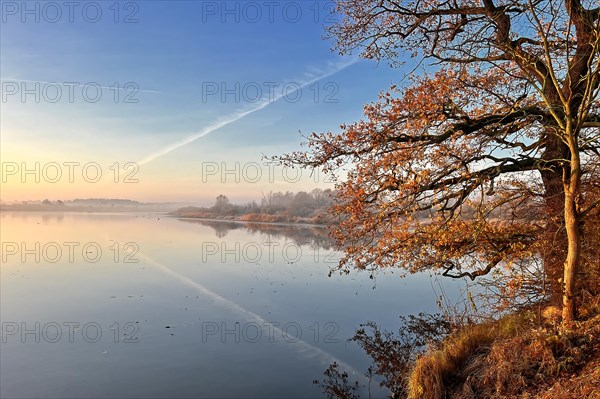 Central Elbe Biosphere Reserve