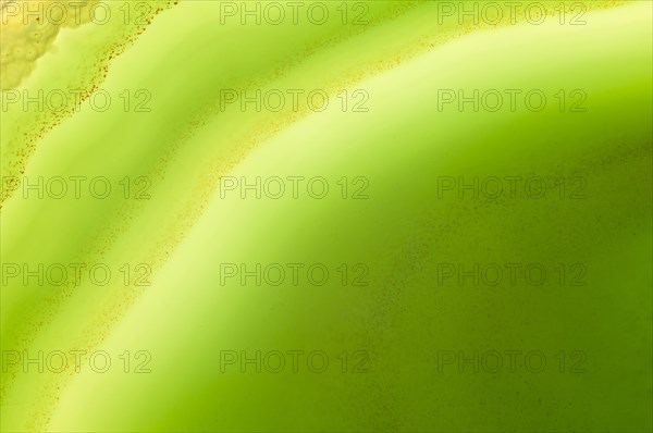 Thin slice of green agate