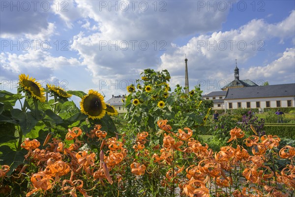 Garden of the former spa