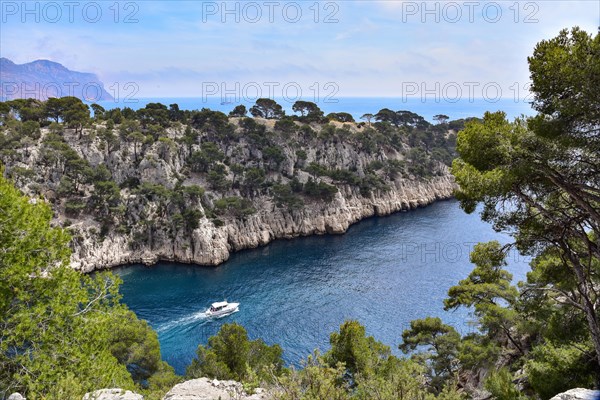 View of the Calanque Port Pin near Cassis on the Cote d'Azur in Provence