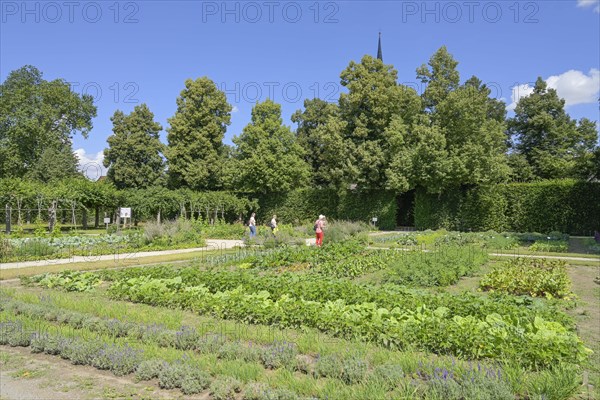 Kitchen Garden Veitshoechheim Palace