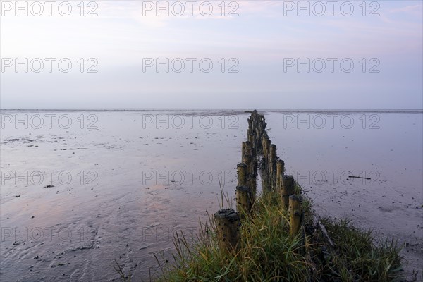 Breakwater at sunrise