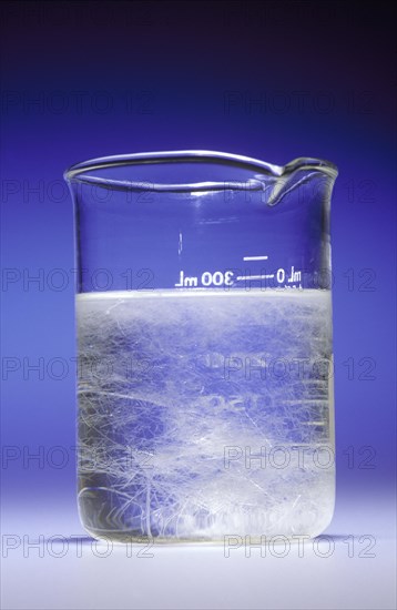 Crystallization of Supersaturated Solution of Sodium Acetate