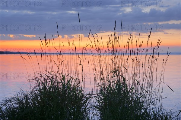 View over Lake Constance at a colourful sunset