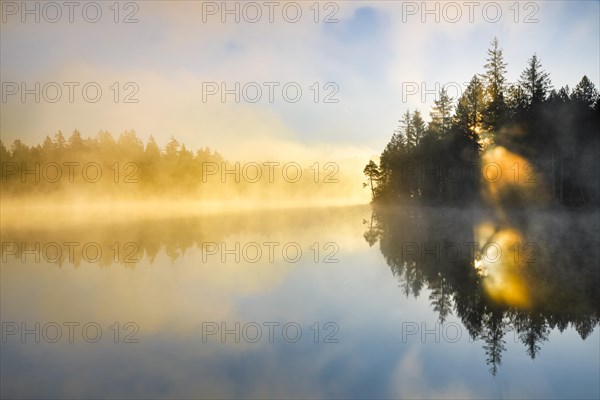 Backlit sunrise with wafts of mist over the mirror-smooth moorland lake Etang de la Gruere in the canton of Jura