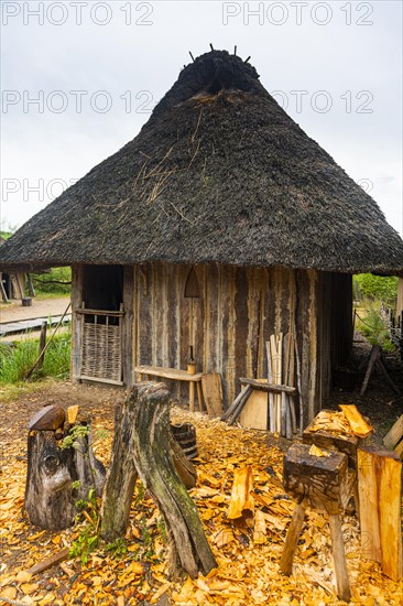 Reconstructed viking village