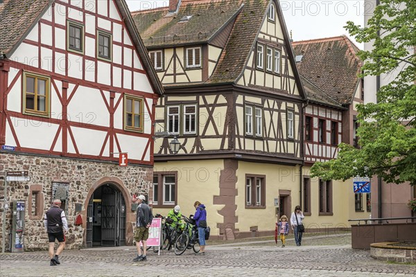 Half-timbered houses