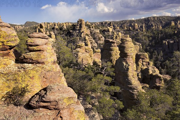 Land of the Standing-Up Rocks