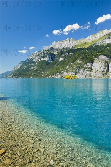 View from the shore of Lake Walen of the small chive island in the midst of the turquoise water and with the mountain range Schaeren and Leistchamm in the background