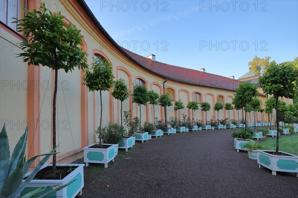 Orangery