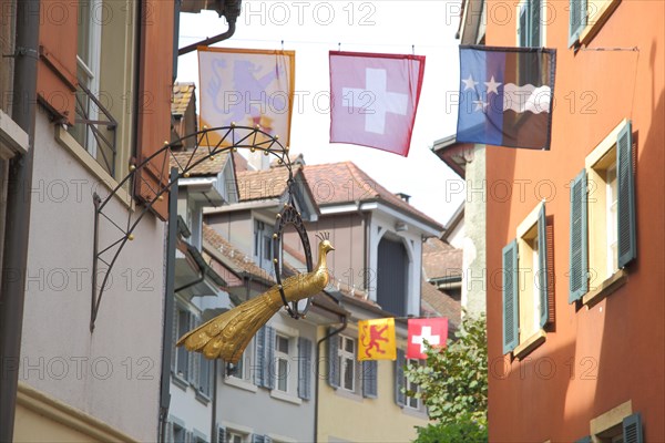 Signboard with golden peacock and flags