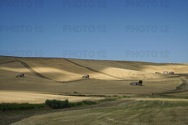 Landscape around Irsina