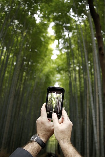 Tourist taking photos with smartphone in Arashiyama bamboo forest in Kyoto