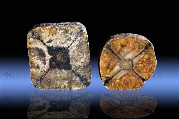 Andalusite variety Chiastolite Madera