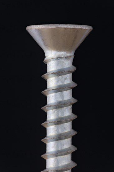 Close-Up of a Wood Screw