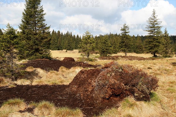 Raised bog with former peat cutting walls