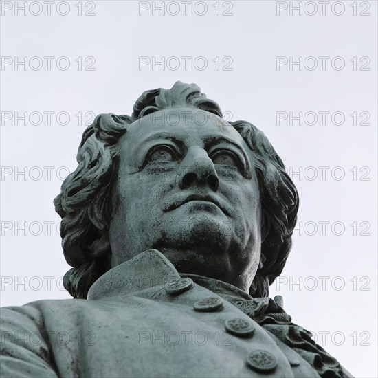 Johann Wolfgang von Goethe