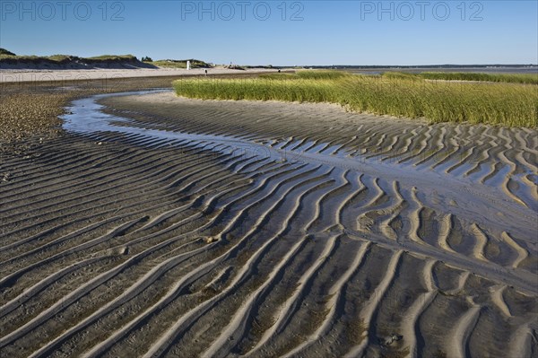 Low Tide