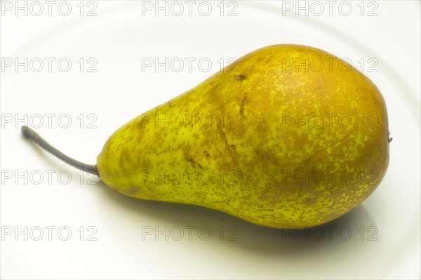 Single pear on a white plate