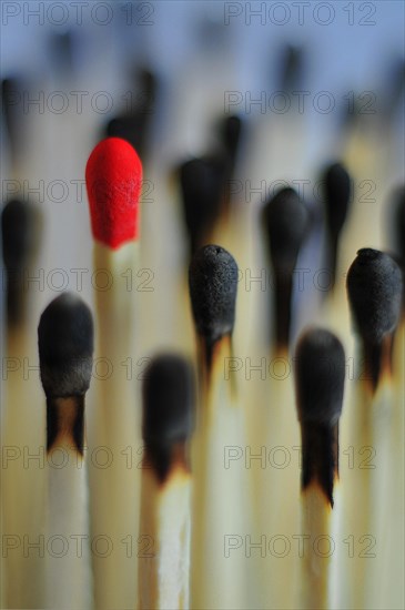 Unused match surrounded by burnt matches
