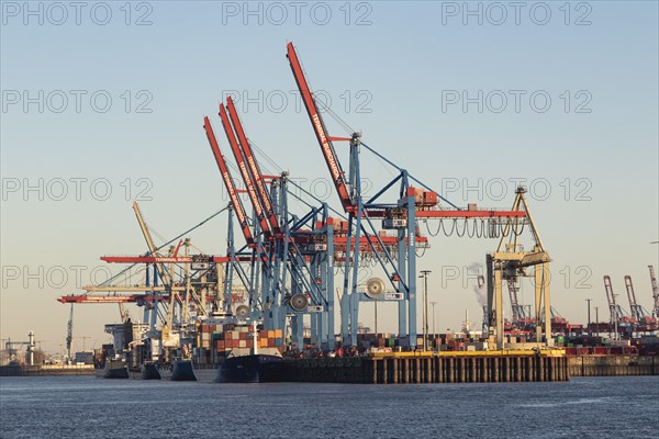 Container ships in the evening light at HHLA Container Terminal Burchardkai in the container port of Hamburg