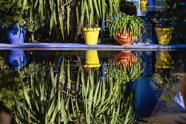 Different coloured flower pots in front of a blue house in the botanical garden Jardin Majorelle